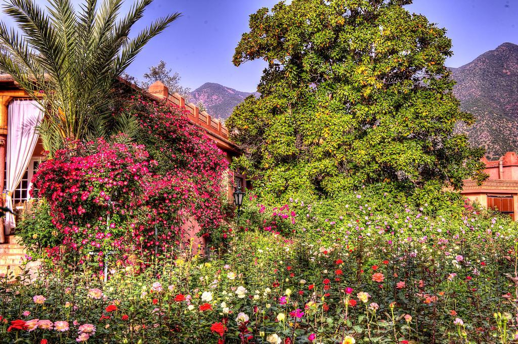 Domaine De La Roseraie Resort Ouirgane Exterior photo